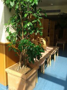 Besseres Klima dank grüner Unterstützung